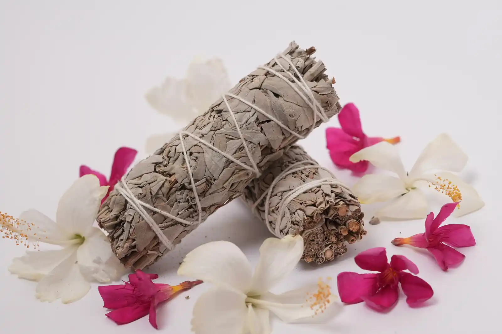 Indian Sage / California Sage thumbnail 2