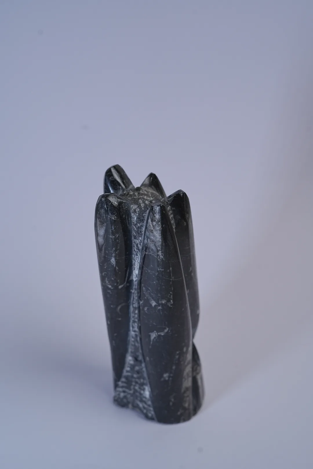 Orthoceras(kuber) Fossil Stone
