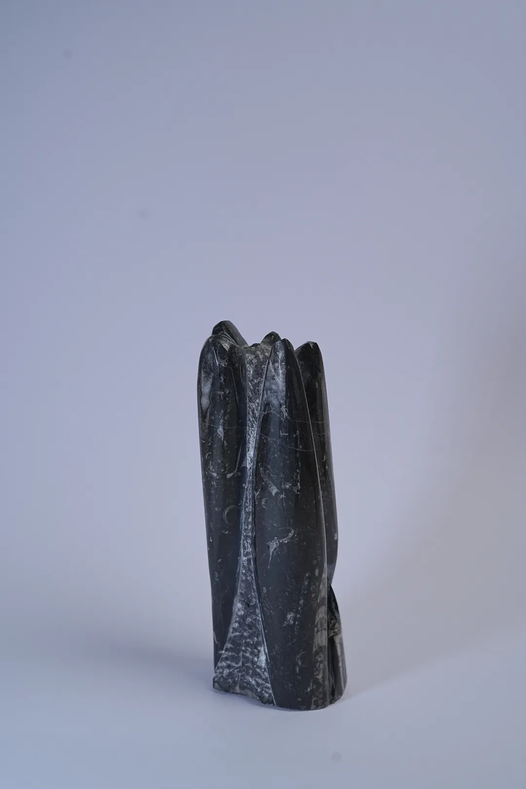 Orthoceras(kuber) Fossil Stone thumbnail 2